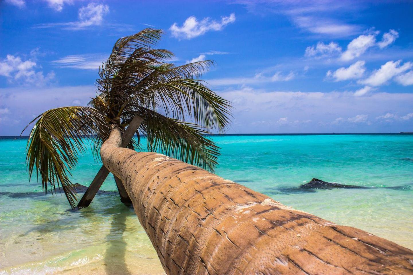 Ci-Ritorno View Hotel Maafushi Bagian luar foto